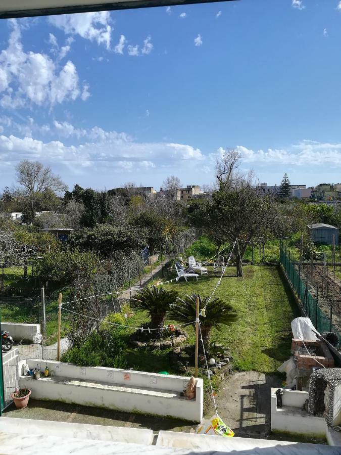 Green Island Apartment Προτσίντα Εξωτερικό φωτογραφία